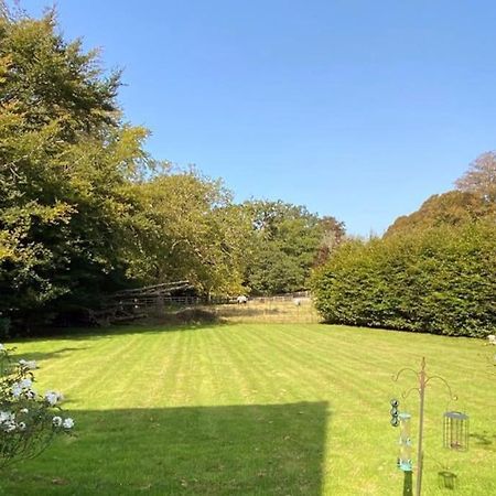 The Dower House At Parnham Park Villa Beaminster Exterior photo